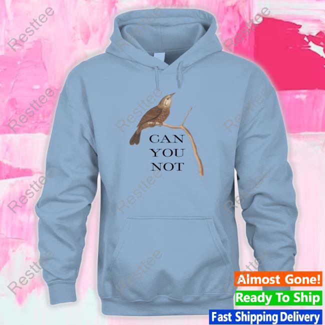 Can You Not T-Shirt – EFFIN BIRDS