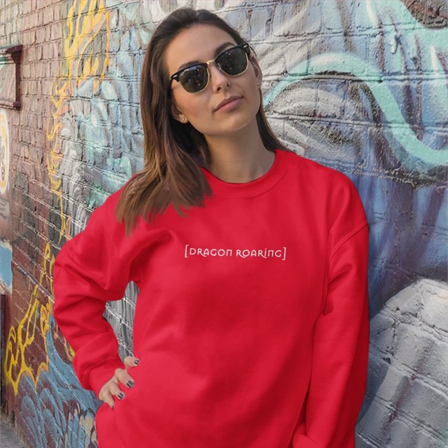 Barstool Sports Store Dragon Roaring Subtitle Long Sleeve Feitelberg Barstool Sports Store Dragon Roaring Subtitle Hooded Sweatshirt Feitelberg