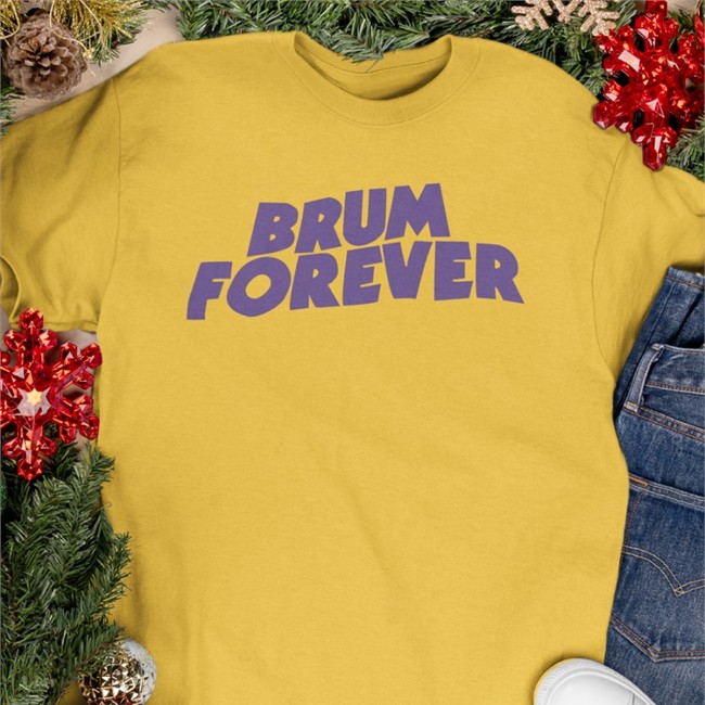 Providebirmingham Provide Brum Forever T Shirt Brum Forever Long Sleeve T Shirt Provide
