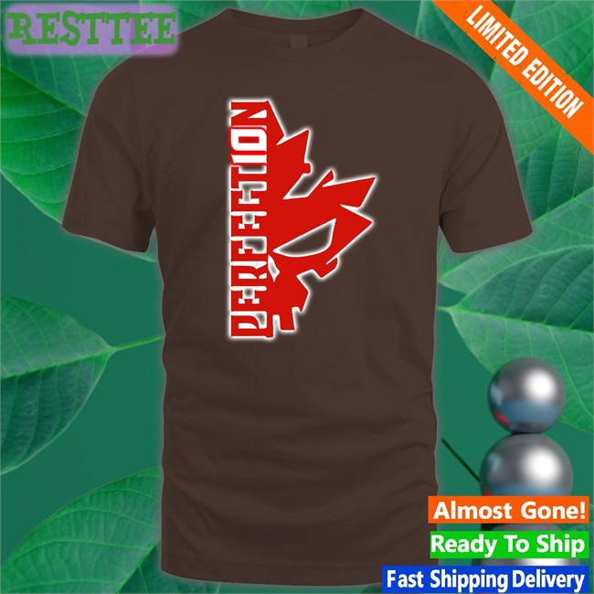 Perfect10n Half Skull Tee New Shopaew Merch Shawn Spears Perfect10n Half Skull Shirt By Shopaew