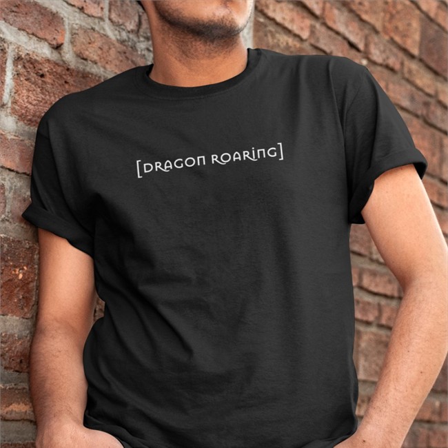 Dragon Roaring Subtitle Shirt Barstool Sports Store Feitelberg