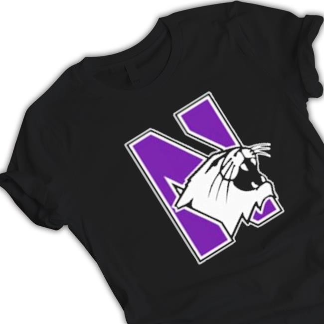 Northwestern Wildcats Hoodie