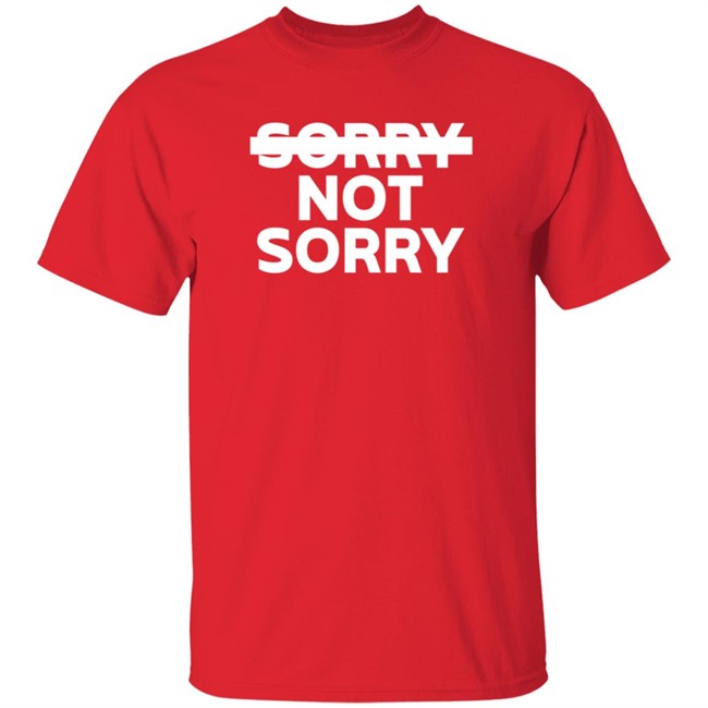 Sorry Not Sorry Hoodie Sorry Not Sorry Hoodie