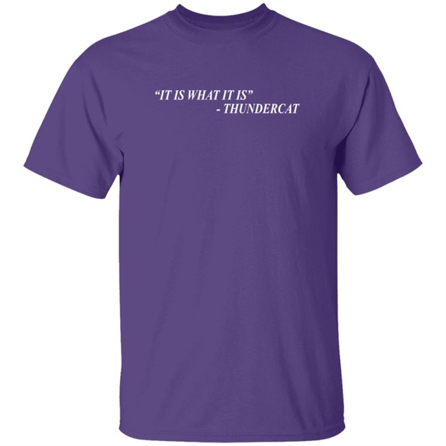 Thundercat Merch It Is What It Is Shirt Thundercat Merch It Is What It Is Shirt