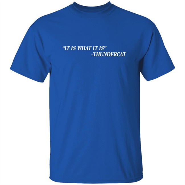 Thundercat Merch Brainfeeder It Is What It Is Thundercat Shirt Thundercat Merch Brainfeeder It Is What It Is Thundercat Shirt