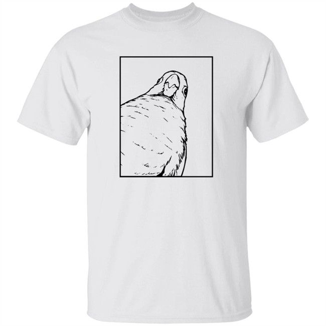 Jaiden Animations Merch Stare Tee