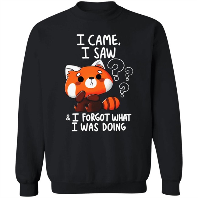 Vaxxedfaery I Came I Saw I Forgot What I Was Doing Raccoon Shirt Vaxxedfaery I Came I Saw I Forgot What I Was Doing Raccoon Shirt