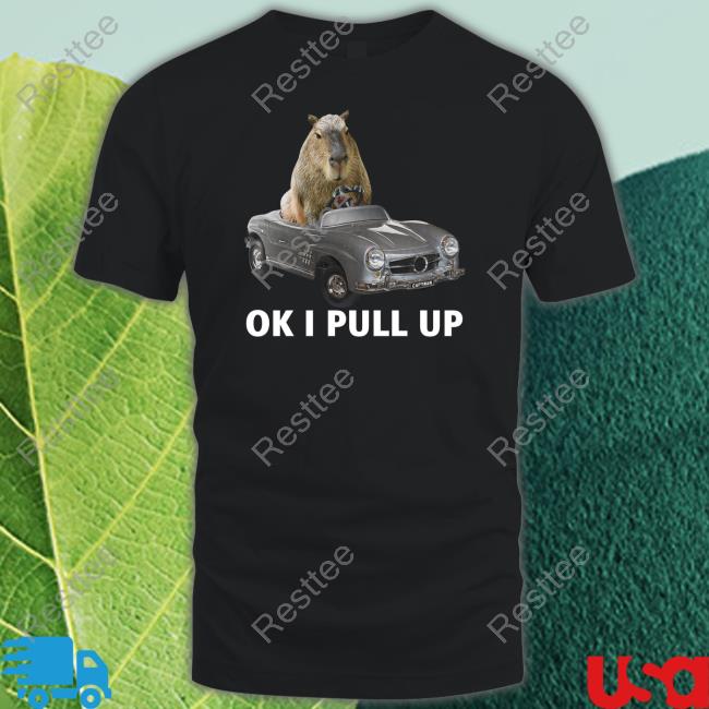 Capybara Man Merch Capy Car Hoodie Ok I Pull Up Capybaraman