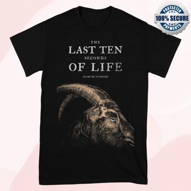 Official The Last Ten Seconds Of Life Rising Merch The Last Ten Seconds Of Life - The VVitch T-Shirt Risingmerch