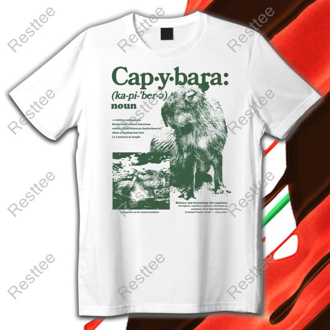 Capybara Defined T-Shirt Capybara Man Merch