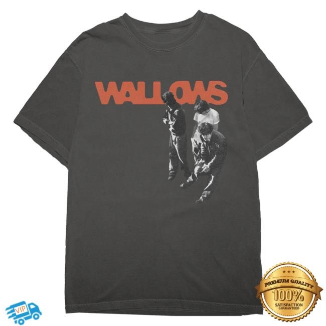 Official Wallows Merch Store Wallows Waiting Photo Shirts
