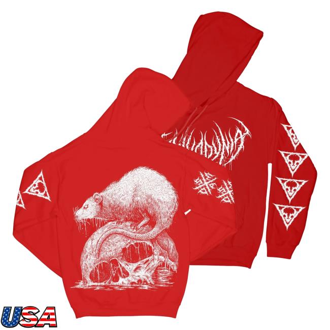 Official Vulvodynia Rising Merch Vulvodynia - Decay Red Hooded Sweatshirt Risingmerch