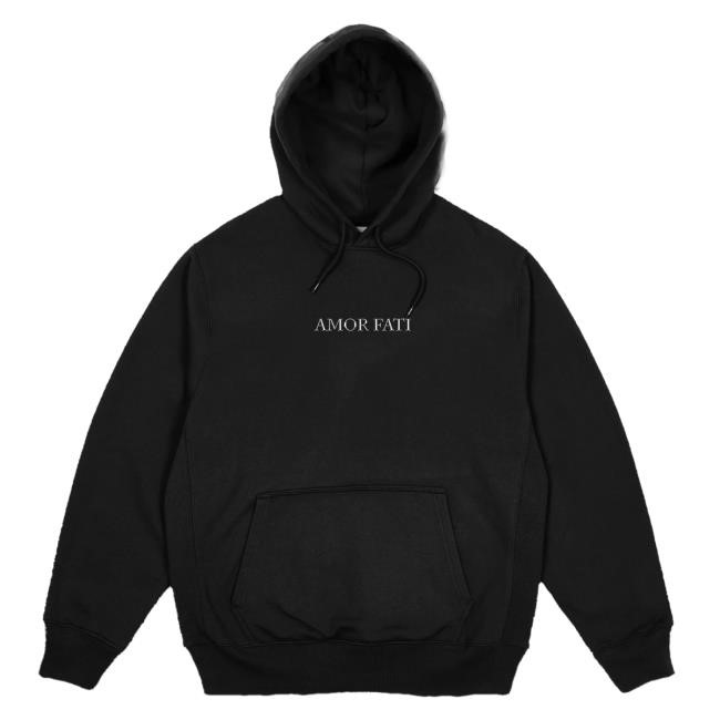 Joe Bartolozzi - Destiny Unveiled Black Hoodie Sweatshirt Joe Bartolozzi Merch