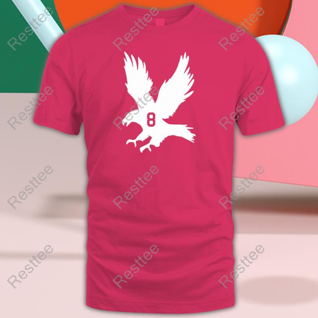 Obvious Shirts The Hawk 8 T Shirt