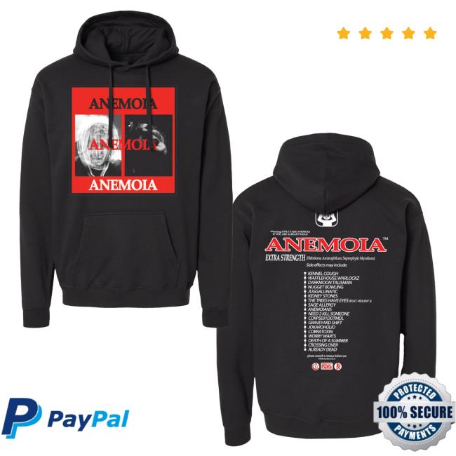 Official Chapter 17 Records Merch Store Shop Anemoia - Album Cover Pullover Hoodie - Black Chapter17Records