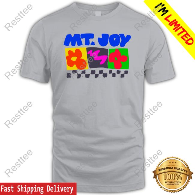 Mt.Joy Merch Checkered Tee Shirt