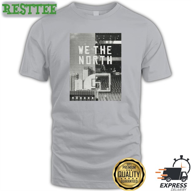 Toronto Raptors We The North Shirt Kayla Grey We The North V Neck T Shirt Toronto Raptors