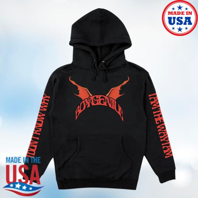Boygenius Demon Hoodies