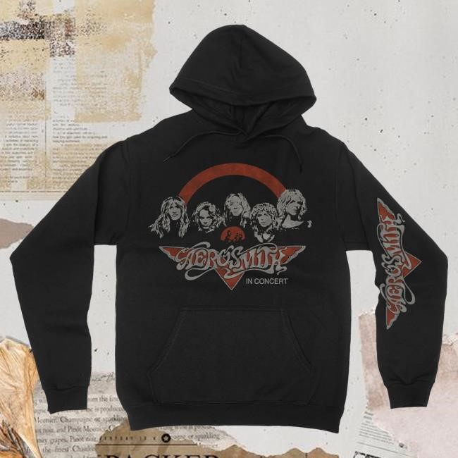 Official Aerosmith Store Toys In Concert Hood Official Aerosmith Shop Toys In Concert Popover Hoodie
