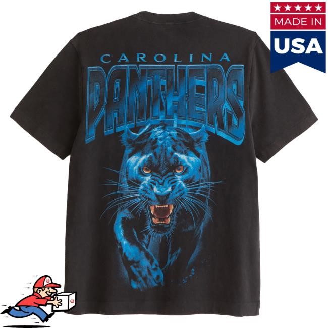 Official Abercrombie And Fitch Apparel Clothing Merch Carolina Panthers Graphic T Shirt Abercrombie Store Shop