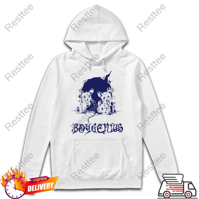 Mice Shirts Boygenius Mice Shirts Phoebe On Tour