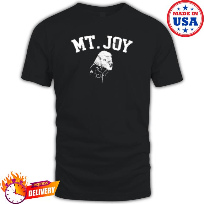 Mt Joy Buffalo Mt Joy Sweatshirts