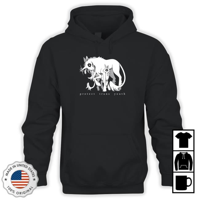 Bigcartel Merch Store Shop Protect Trans Youth Hoodies
