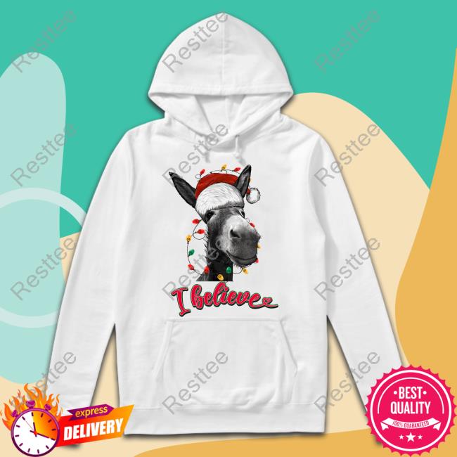 Arms Family Homestead Merch Arms Family Homestead Christmas I Believe Hooded Sweatshirt