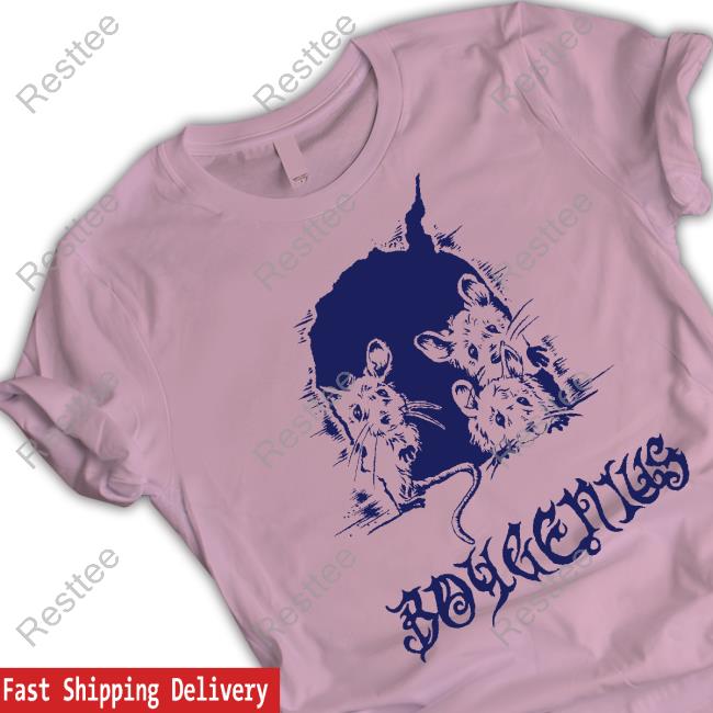 Mice Shirts Boygenius Mice Shirt Phoebe On Tour
