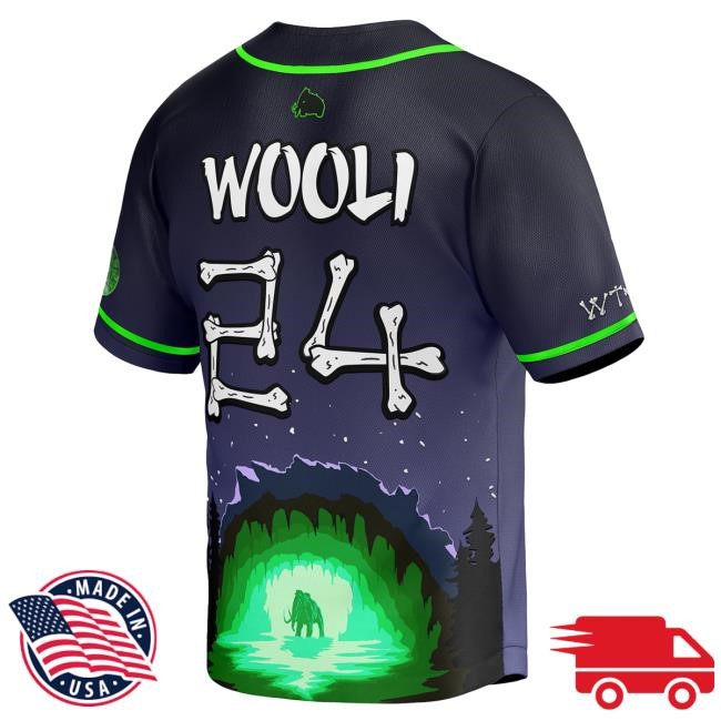 Official Wooli Merch Woolidrop Wooli LL T Shirt Wooli Music Official Wooli Merch Woolidrop Wooli LL Tees Wooli Music